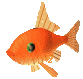 une poissson